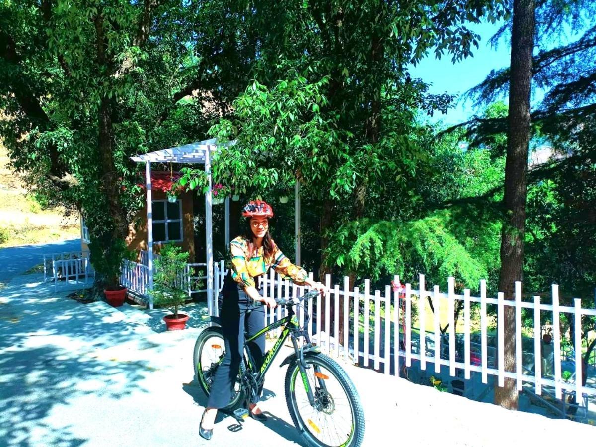 Aamod At Shoghi Luxury Cottage Resort Σίμλα Εξωτερικό φωτογραφία