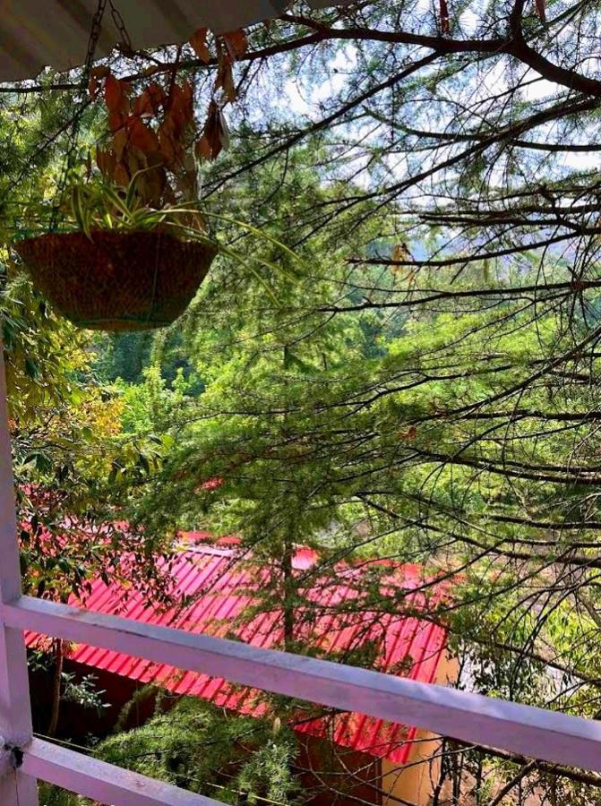 Aamod At Shoghi Luxury Cottage Resort Σίμλα Εξωτερικό φωτογραφία