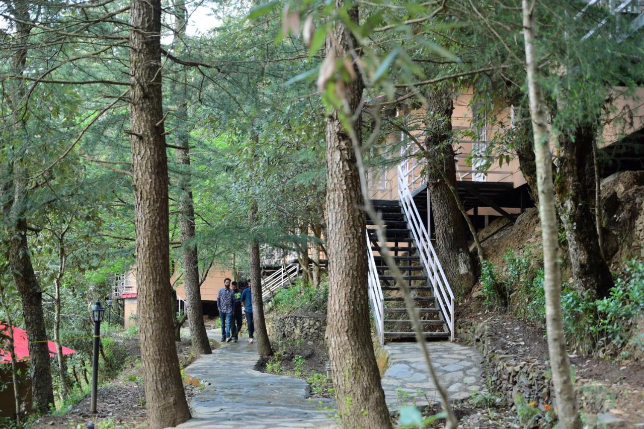 Aamod At Shoghi Luxury Cottage Resort Σίμλα Εξωτερικό φωτογραφία